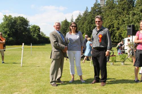 Farnleigh - Irish Wolfhound 2013 06 09 (10)