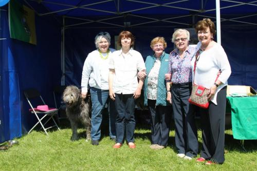 Farnleigh - Irish Wolfhound 2013 06 09 (11)