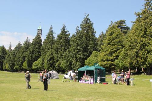 Farnleigh - Irish Wolfhound 2013 06 09 (12)