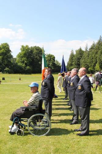 Farnleigh - Irish Wolfhound 2013 06 09 (2)