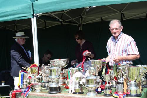 Farnleigh - Irish Wolfhound 2013 06 09 (3)