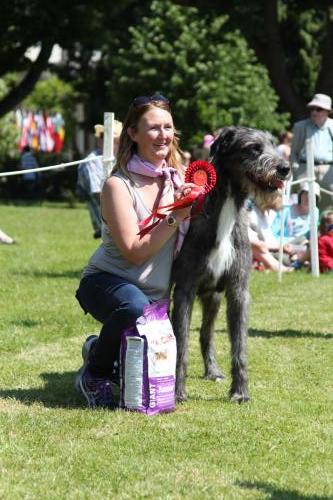 Farnleigh - Irish Wolfhound 2013 06 09 (30)