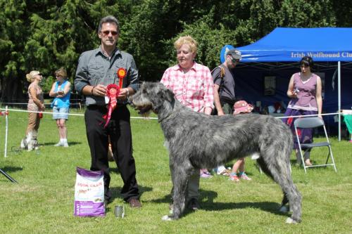 Farnleigh - Irish Wolfhound 2013 06 09 (34)