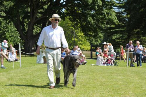 Farnleigh - Irish Wolfhound 2013 06 09 (36)