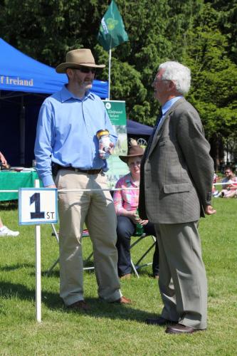 Farnleigh - Irish Wolfhound 2013 06 09 (4)