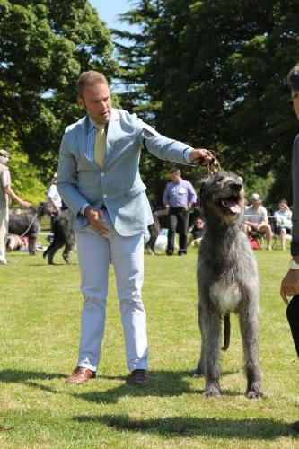 Farnleigh - Irish Wolfhound 2013 06 09 (41)