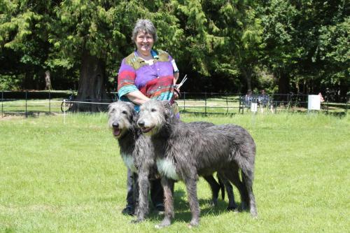 Farnleigh - Irish Wolfhound 2013 06 09 (55)