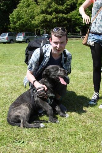 Farnleigh - Irish Wolfhound 2013 06 09 (63)