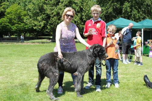 Farnleigh - Irish Wolfhound 2013 06 09 (69)