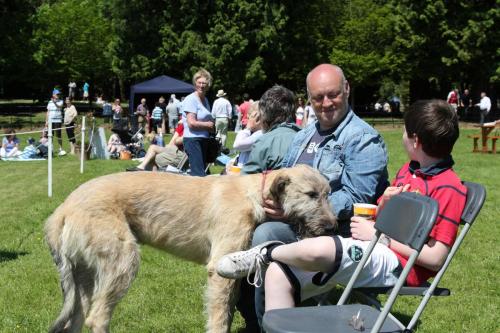 Farnleigh - Irish Wolfhound 2013 06 09 (74)