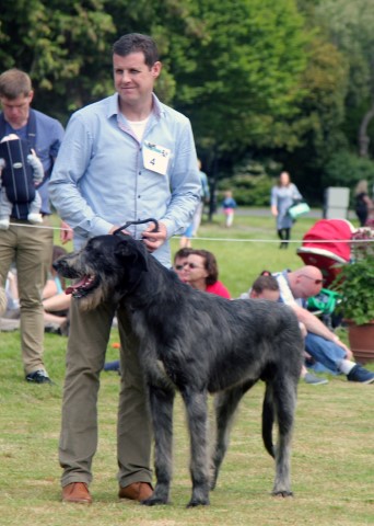 Farmleigh 2015 06 14 - Patrick Hugh Lynch (110) (Small)