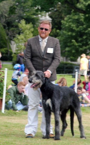 Farmleigh 2015 06 14 - Patrick Hugh Lynch (111) (Small)