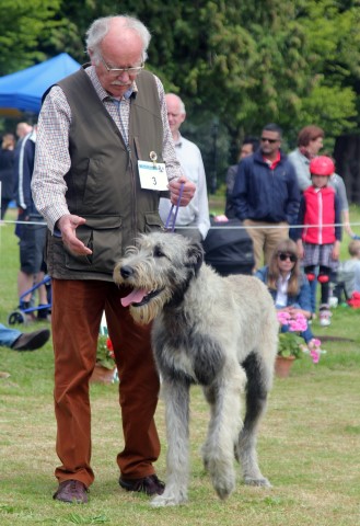 Farmleigh 2015 06 14 - Patrick Hugh Lynch (112) (Small)