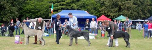 Farmleigh 2015 06 14 - Patrick Hugh Lynch (113) (Small)
