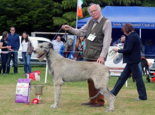 Farmleigh 2015 06 14 - Patrick Hugh Lynch (114) (Small)