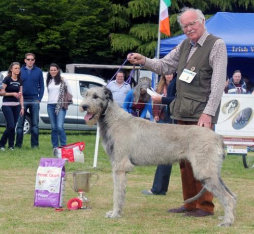 Farmleigh 2015 06 14 - Patrick Hugh Lynch (115) (Small)