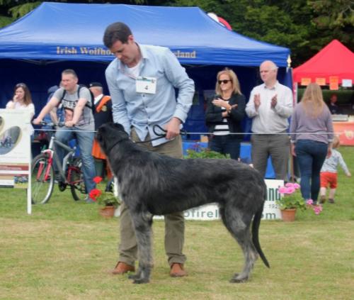 Farmleigh 2015 06 14 - Patrick Hugh Lynch (116) (Small)