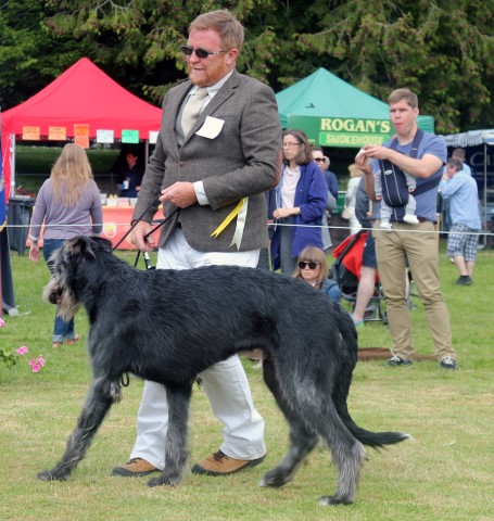 Farmleigh 2015 06 14 - Patrick Hugh Lynch (117) (Small)
