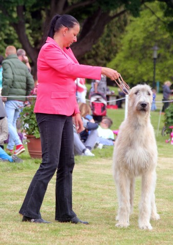 Farmleigh 2015 06 14 - Patrick Hugh Lynch (118) (Small)
