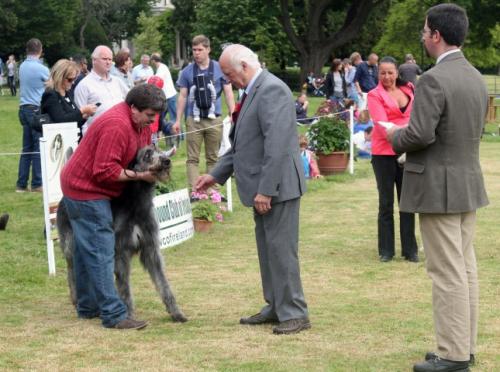 Farmleigh 2015 06 14 - Patrick Hugh Lynch (119) edited-1 (Small)