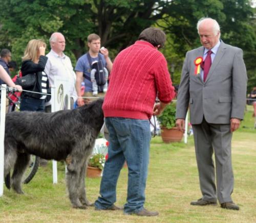 Farmleigh 2015 06 14 - Patrick Hugh Lynch (120) (Small)