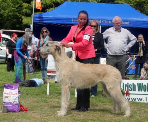 Farmleigh 2015 06 14 - Patrick Hugh Lynch (123) (Small)