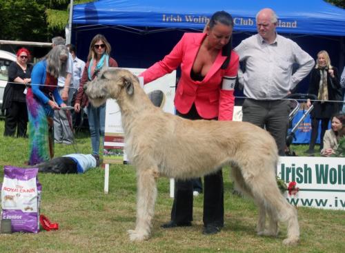 Farmleigh 2015 06 14 - Patrick Hugh Lynch (124) (Small)