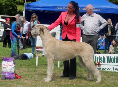 Farmleigh 2015 06 14 - Patrick Hugh Lynch (125) (Small)