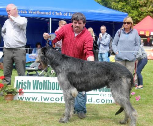 Farmleigh 2015 06 14 - Patrick Hugh Lynch (126) (Small)