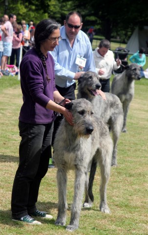 Farmleigh 2015 06 14 - Patrick Hugh Lynch (128) (Small)