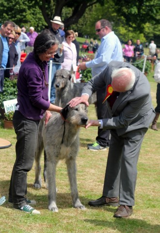 Farmleigh 2015 06 14 - Patrick Hugh Lynch (129) (Small)