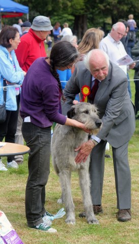 Farmleigh 2015 06 14 - Patrick Hugh Lynch (130) (Small)