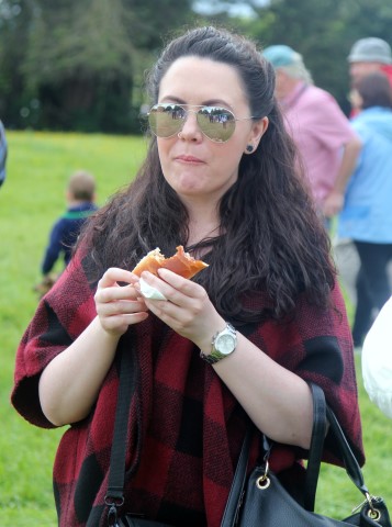 Farmleigh 2015 06 14 - Patrick Hugh Lynch (132) (Small)
