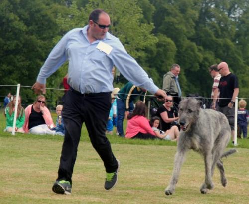 Farmleigh 2015 06 14 - Patrick Hugh Lynch (133) (Small)