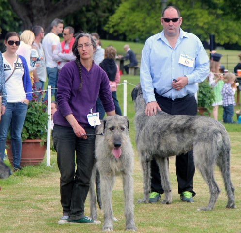 Farmleigh 2015 06 14 - Patrick Hugh Lynch (134) (Small)