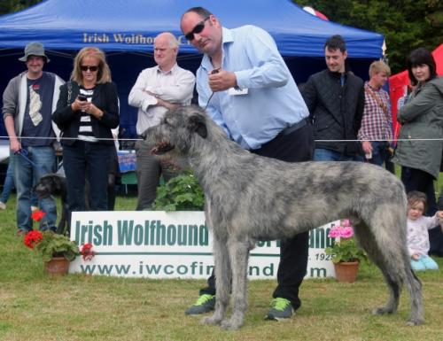 Farmleigh 2015 06 14 - Patrick Hugh Lynch (137) (Small)