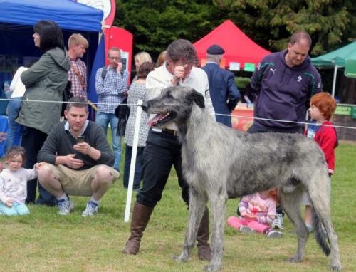 Farmleigh 2015 06 14 - Patrick Hugh Lynch (138) (Small)