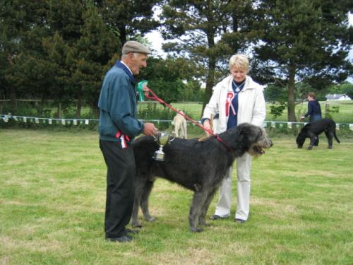 xTallestIrishWolfhound